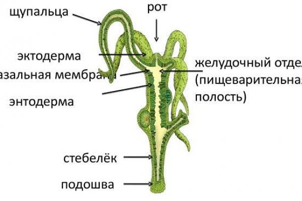 Кракен марке