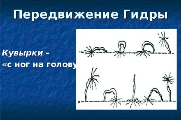 Kraken сайт вход