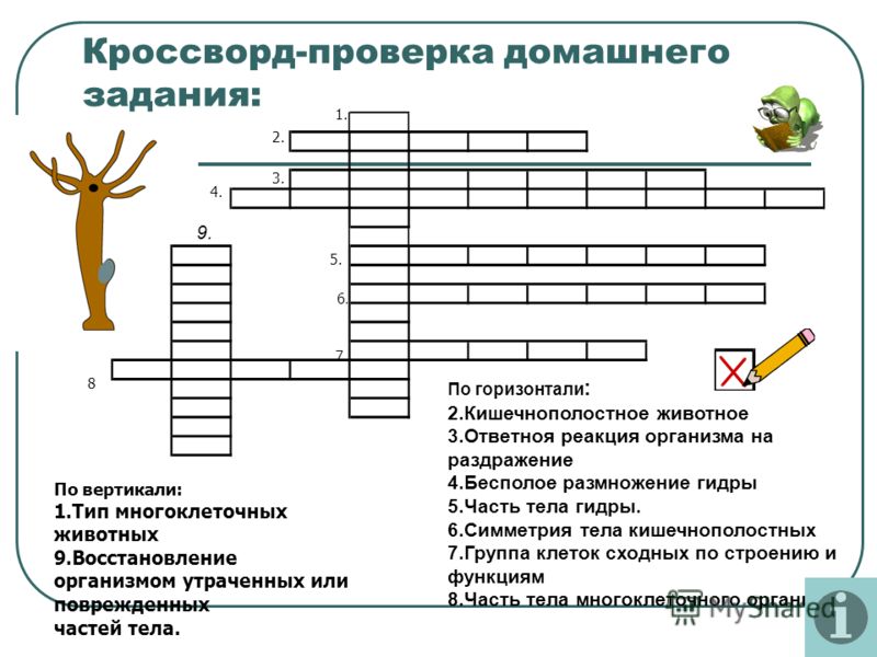 Актуальная ссылка на кракен kraken